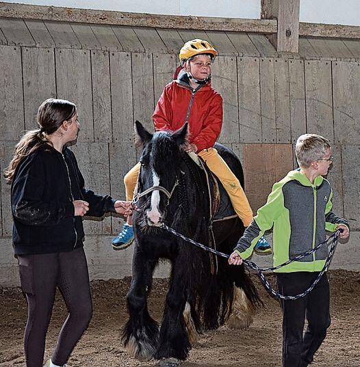 In der Kinderreitschule Mudjibur hat es auch ausgewachsene Pferde.